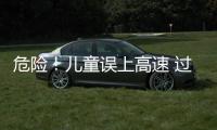 危險！兒童誤上高速 過往車紛紛避讓(圖)