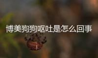 博美狗狗嘔吐是怎么回事(博美狗狗突然抽搐站不穩)