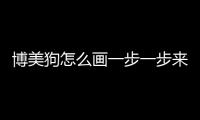 博美狗怎么畫一步一步來教它？博美狗怎么畫最簡單