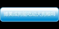 博美成狗能吃幼犬狗糧嗎怎么喂(博美可以吃狗糧嗎)