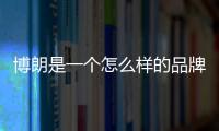 博朗是一個怎么樣的品牌呢 博朗是哪個國家的品牌呢