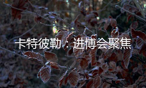 卡特彼勒：進博會聚焦