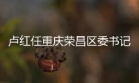 盧紅任重慶榮昌區(qū)委書記