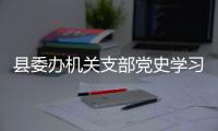 縣委辦機關支部黨史學習教育集體學習舉行