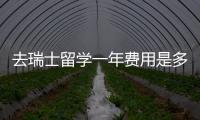 去瑞士留學一年費用是多少？ 去瑞士留學一年多少錢