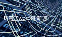 厲害了word哥 新速騰勇奪年度銷量冠軍