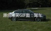 原創爆笑GIF圖：駕車之前叫王鵝，駕車之后叫王我