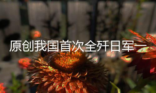 原創我國首次全殲日軍一個大隊：日本戰史首次披露，大多數人都不知道