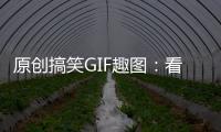 原創(chuàng)搞笑GIF趣圖：看伴娘甩頭的動作，就知道是有故事的人了