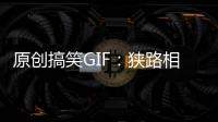 原創搞笑GIF：狹路相逢，把娃都造蒙圈了