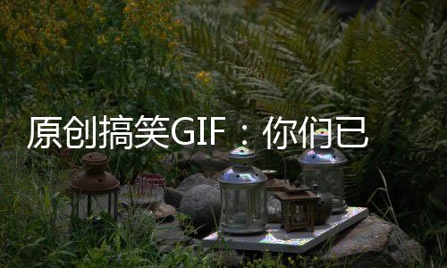 原創(chuàng)搞笑GIF：你們已經(jīng)占領(lǐng)了廣場，還要占領(lǐng)共享單車