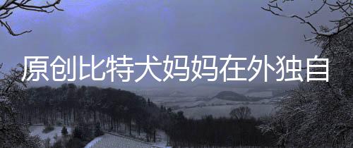 原創比特犬媽媽在外獨自照顧8個娃，信任人類后放心讓他們拿小狗