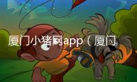 廈門小豬網app（廈門小豬網）