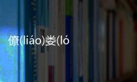 僚(liáo)婁(lóu)廟(miào)叉(chā)具體內容是什么?