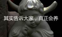 其實(shí)告訴大家，真正會養(yǎng)生的人都是會吃洋蔥的，紫皮洋蔥最有營養(yǎng)