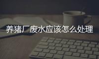 養豬廠廢水應該怎么處理？該選用哪種處理方法？