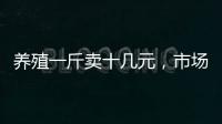 養殖一斤賣十幾元，市場常年熱銷，漁民：不如野生抓一條