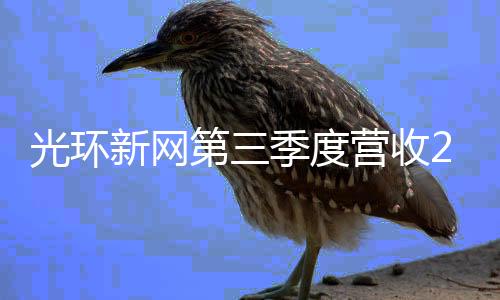 光環新網第三季度營收21.34億元同比增長14.08%