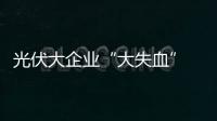 光伏大企業“大失血” 小企業明年或迎淘汰潮,市場研究