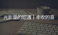 光影里的昭通丨豐收的喜悅