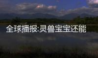 全球播報(bào):靈獸寶寶還能聯(lián)動(dòng)寶蓮燈？夢(mèng)誅競(jìng)技場(chǎng)上分，三個(gè)常見(jiàn)套路