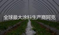 全球最大涂料生產商阿克蘇諾貝爾牽手湘衡鹽化