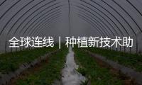 全球連線｜種植新技術助力新疆棉花提質增效