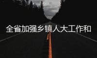 全省加強鄉鎮人大工作和建設視頻交流會議召開