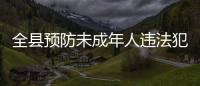 全縣預防未成年人違法犯罪專項行動工作會議召開