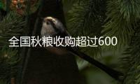 全國秋糧收購超過6000萬噸 各地秋糧收購正在有序展開