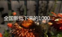 全國新批下來的1000