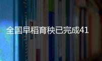 全國早稻育秧已完成41.8% 進度同比快4.3個百分點