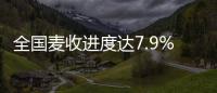 全國麥收進度達7.9% 各地全力做好搶收保障