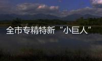 全市專精特新“小巨人”企業達466家_