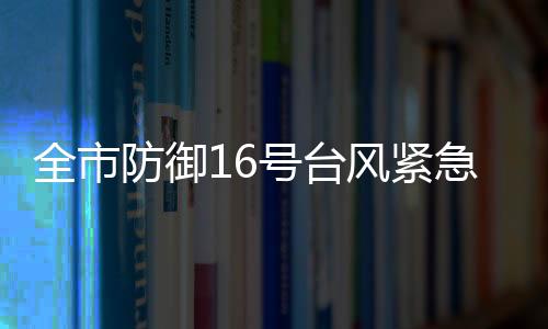 全市防御16號臺風緊急電視電話會議召開