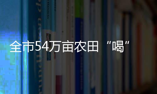 全市54萬畝農田“喝”上春灌水