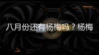 八月份還有楊梅嗎？楊梅幾月份結束？