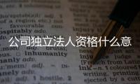 公司獨(dú)立法人資格什么意思（獨(dú)立法人資格的企業(yè)是什么意思）