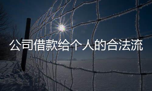 公司借款給個人的合法流程（公司借款給個人合法嗎）