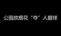 公園放煙花“奪”人眼球 建甌男子獲刑還賠錢