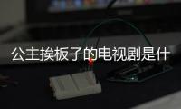 公主挨板子的電視劇是什么（公主挨板子的電視劇）