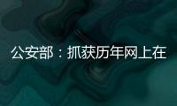 公安部：抓獲歷年網上在逃人員35.1萬余名