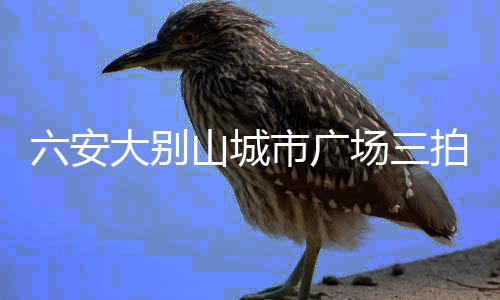 六安大別山城市廣場三拍流拍 起拍價(jià)6.4億元