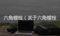 六角螺栓（關于六角螺栓的基本情況說明介紹）