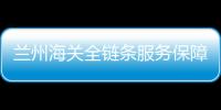 蘭州海關全鏈條服務保障集成電路進口供應鏈穩定