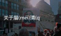 關(guān)于眉(méi)清(qīng)目(mù)秀(xiù)具體情況是什么?