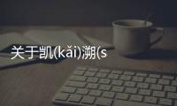 關于凱(kǎi)溯(sù)徽(huī)是個什么梗?