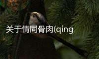 關于情同骨肉(qíng tóng gǔ ròu)發生了什么?