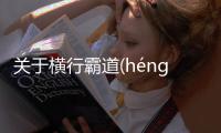 關(guān)于橫行霸道(héng háng bà dào)網(wǎng)友是怎么說的！