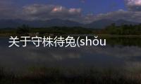 關于守株待兔(shǒu zhū dài tù)這樣理解正確嗎?